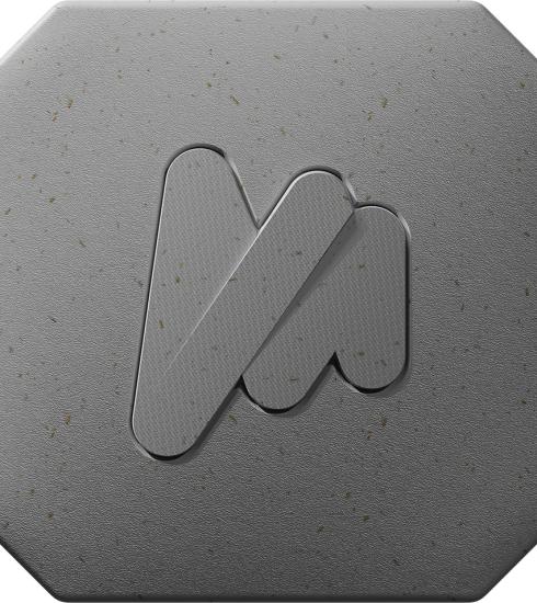 Pixel NAFILEan Vision 3 Vineshoot